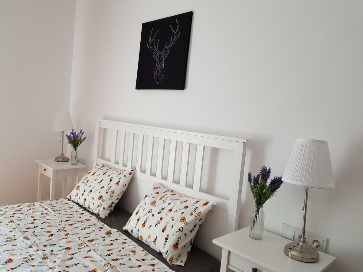 Oberiter Apartments - Center Of Zagreb, Fast Wifi, Ac, Kitchen, Parking Eksteriør billede